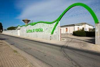 Vino, Cantina di Venosa investe 3,4 mln di euro per l’ampliamento e punta sull’enoturismo