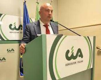 Ue, Grillo (Turismo Verde-Cia): “Bene via libera a direttiva Breakfast, valore a prodotti contadini”