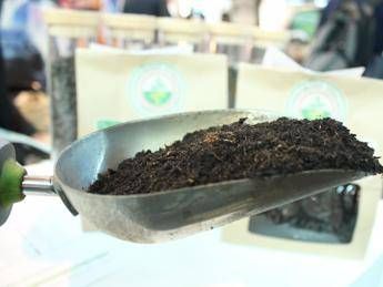 Compost ed energia, i numeri del riciclo organico in Italia