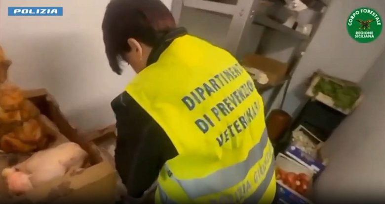 VIDEO | Cucine da incubo a Catania, sporcizia e irregolarità: sanzioni fino a 60mila euro