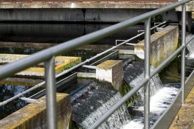 Depurazione, c’è il bando per l’impianto di Augusta