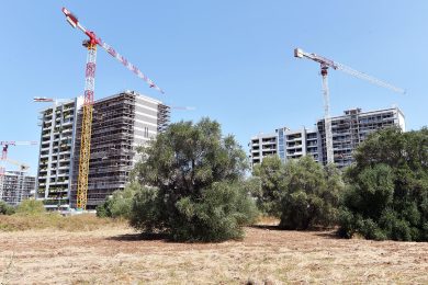 L’Italia divora se stessa: il suolo scompare al ritmo di 2,7 metri quadrati al secondo