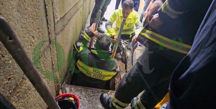 FOTO | Maltempo a Favara: donna trascinata dall’acqua, partite le ricerche FOTO | Maltempo a Favara: donna trascinata dall’acqua, partite le ricerche