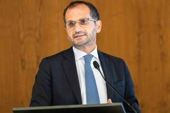 Farmaceutica, Gemmato: “In Testo unico misure per migliorare accesso e aderenza a cure”