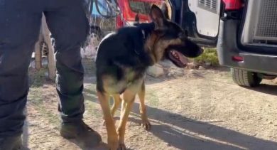 Favara, il dramma di Marianna Bello: prorogate le ricerche