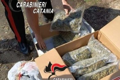 Maxi operazione antidroga nell’Acese, sequestrati 8 kg di marijuana: arrestato 27enne