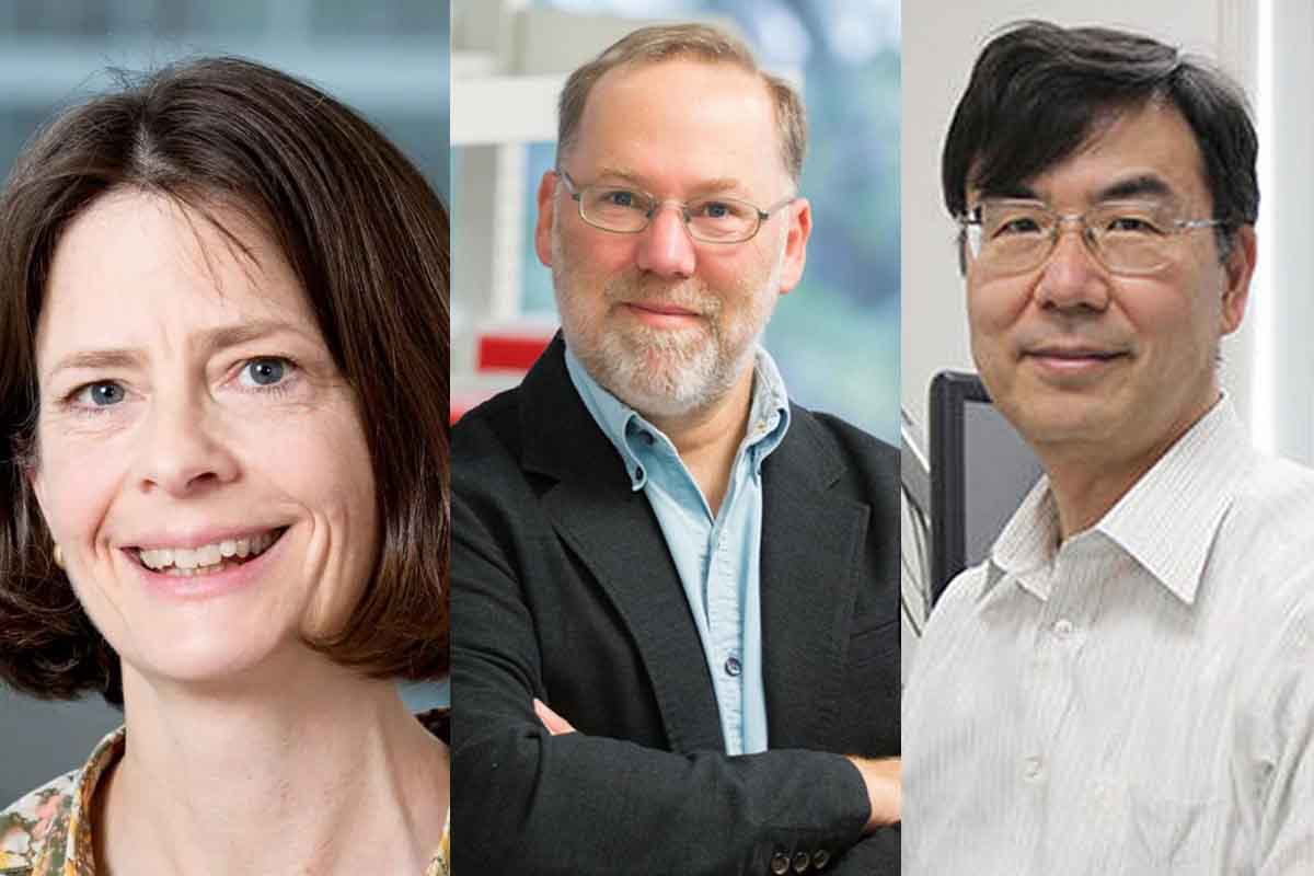 Nobel per Medicina e Fisiologia, il premio va a tre immunologi