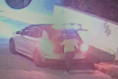 Abbandono di rifiuti, il post ironico diventa virale: “Un sacco nero come una mongolfiera”