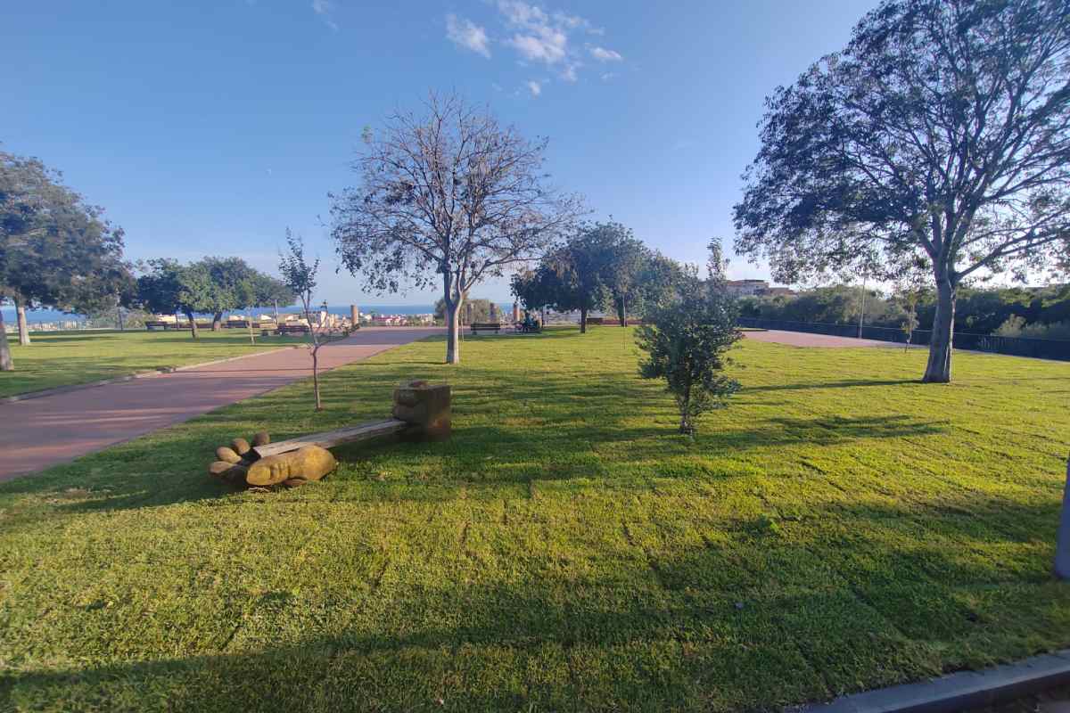 Catania, il Parco Gioeni riapre con un nuovo look: 2000 nuovi alberi e spazi verdi – FOTO