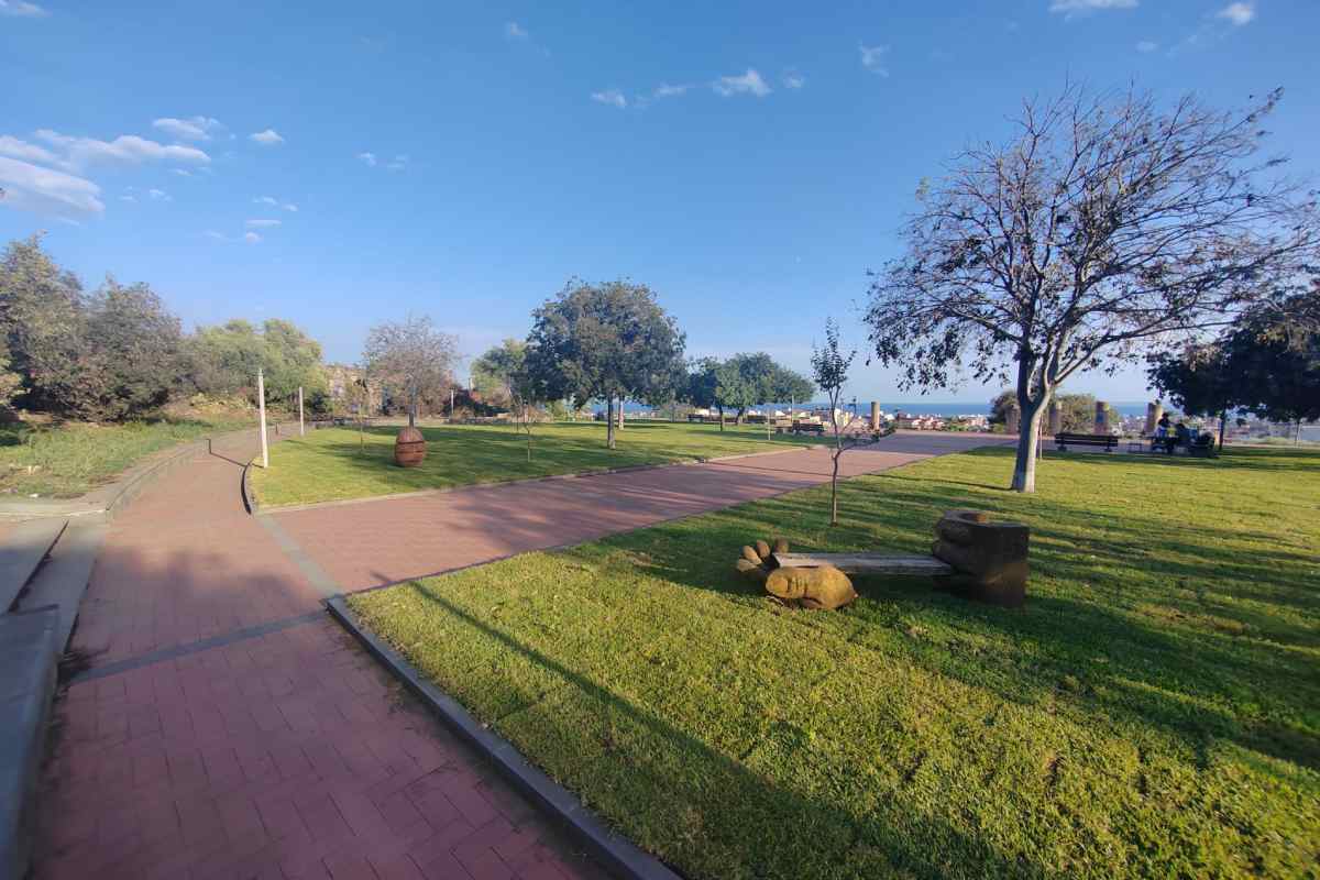 Catania, il Parco Gioeni riapre con un nuovo look: 2000 nuovi alberi e spazi verdi – FOTO