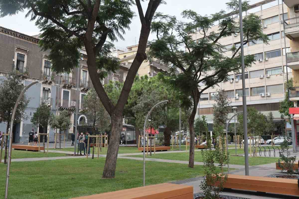 Catania, completato il restyling di piazza Turi Ferro: un nuovo spazio verde e ombreggiante – FOTO