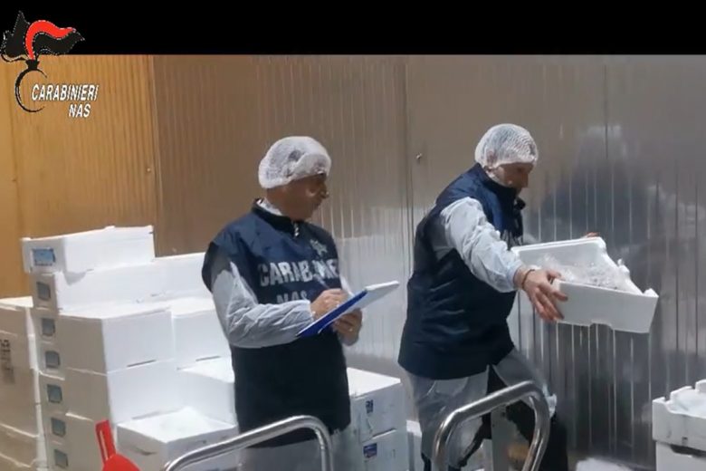 Tonnellate di pesce presurgelato e succhi di frutta mal conservati, maxi blitz nel Catanese – VIDEO