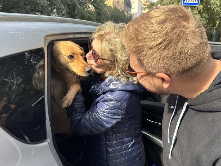 600 euro di pensione al mese, dormiva col cane in auto: l’appello social trova sistemazione a 63enne palermitana