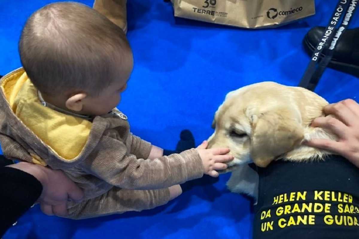 Uici, a Caltanissetta la Giornata nazionale dei Cani guida