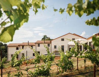 Ospitalità e memoria rurale nei Colli Berici: nasce Castel Bricon
