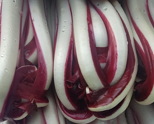 Radicchio Igp, prospettive filiera in convegno con Lollobrigida