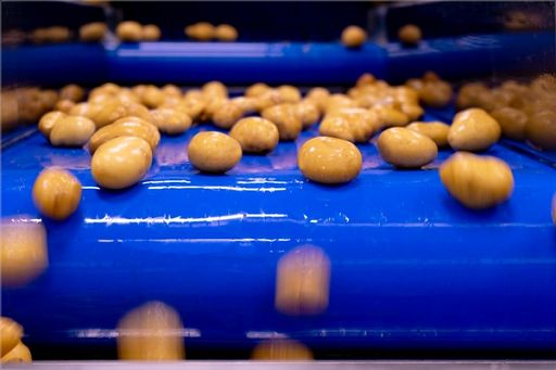 Naturitalia cresce in Horeca con l’offerta di IV gamma