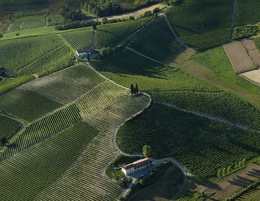 The Grand Wine Tour: enoturista di fascia alta vuole esperienze su misura
