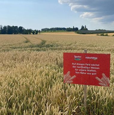 Da Loacker programma per il grano sostenibile: nel 2025 coperto 25% filiera