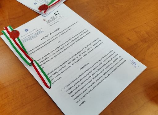Protocollo intesa Masaf-Conaf per tutela patrimonio forestale