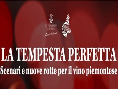 ”La tempesta perfetta”: il vino piemontese tra sfide e nuove strategie