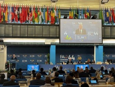 Oggi e domani riunione Commissione Codex Alimentarius alla Fao