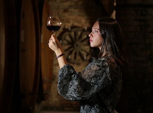 Vino, Pio Cesare: tra stile rigoroso, memoria familiare e nuovi progetti