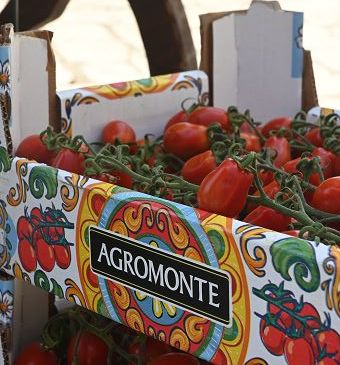 Per Agromonte stagione 2025 chiusa con 90% pomodoro di produzione propria