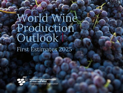 Oiv: nel 2025 produzione mondiale vino recupera. Italia torna prima