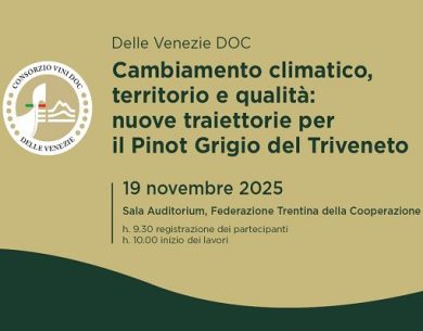 Il 19 novembre a Trento il Congresso Doc Delle Venezie sul Pinot Grigio