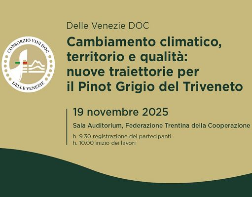 Il 19 novembre a Trento il Congresso Doc Delle Venezie sul Pinot Grigio