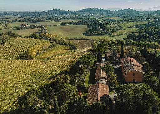 Cantina San Gregorio: “Etruscan Codes” tra memoria, paesaggio, innovazione