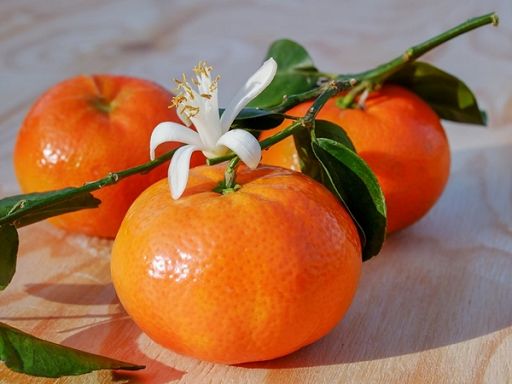 Tornano le clementine di Confagri Donna nelle piazze italiane Tornano le clementine di Confagri Donna nelle piazze italiane