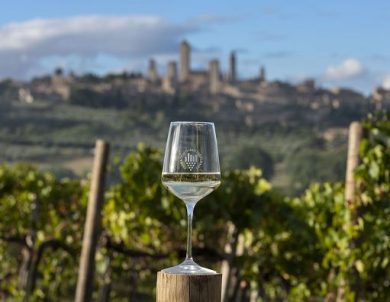 Consorzio Vernaccia: tolto marchio San Gimignano a Cantina argentina