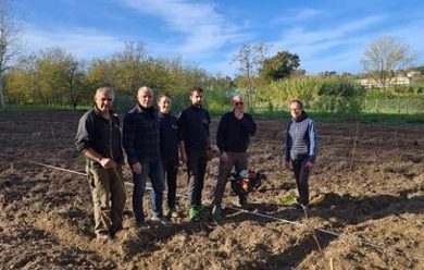 Crea realizza nuovo arboreto sperimentale di ontani a Roma