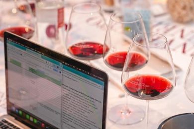 Consorzio Brunello: annata 2021 “fragrante, definita e verticale”
