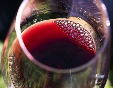 Dal 28 al 30 novembre delegazione Alto Adige ospite nelle Langhe