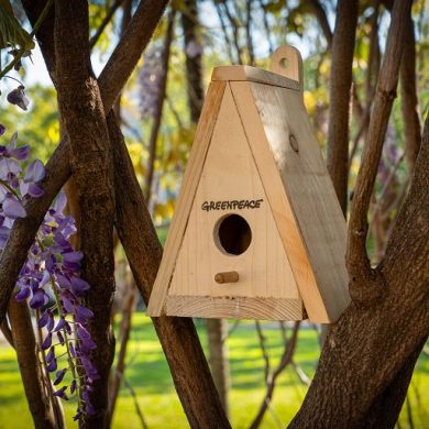 Greenpeace: in 30 anni distrutti 420 milioni di ettari di foreste