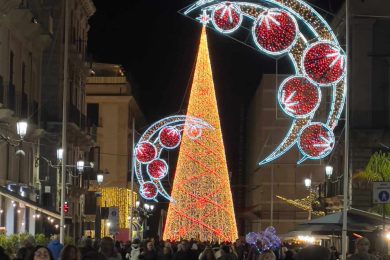 Catania, acceso ieri sera il grande albero di piazza Università: le luminarie natalizie illuminano la città