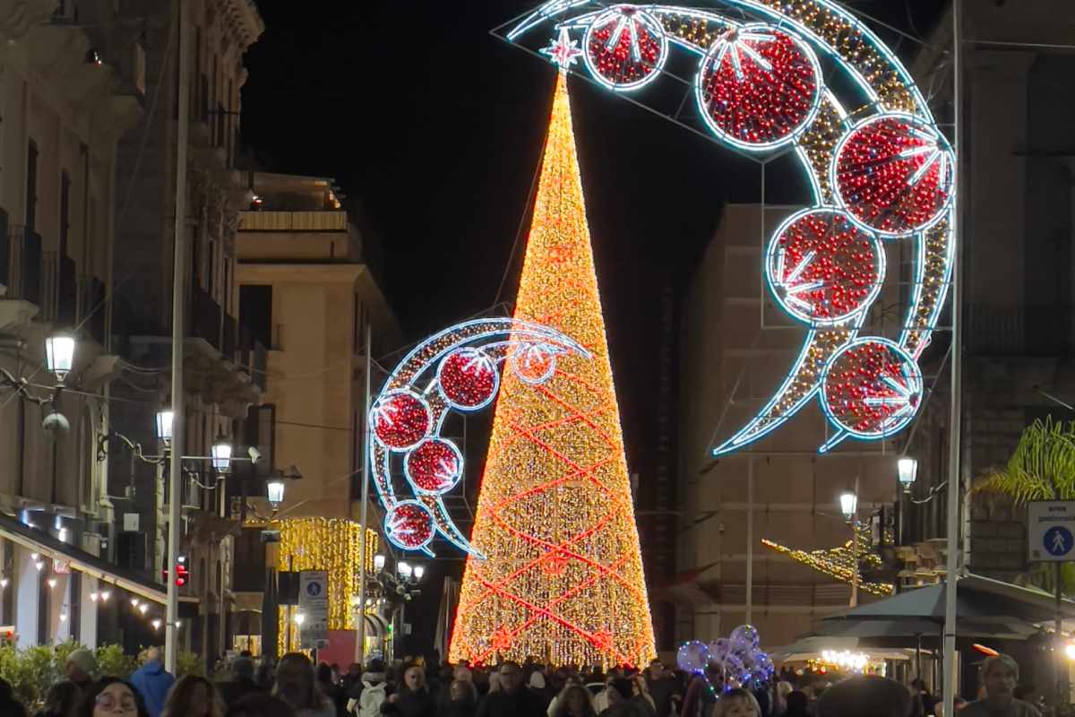 Catania, acceso ieri sera il grande albero di piazza Università: le luminarie natalizie illuminano la città