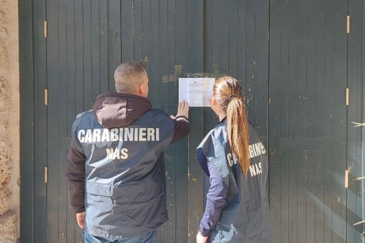 Blatte e infestanti in tutto il locale, chiuso un noto fast food del Catanese: attività sequestrata