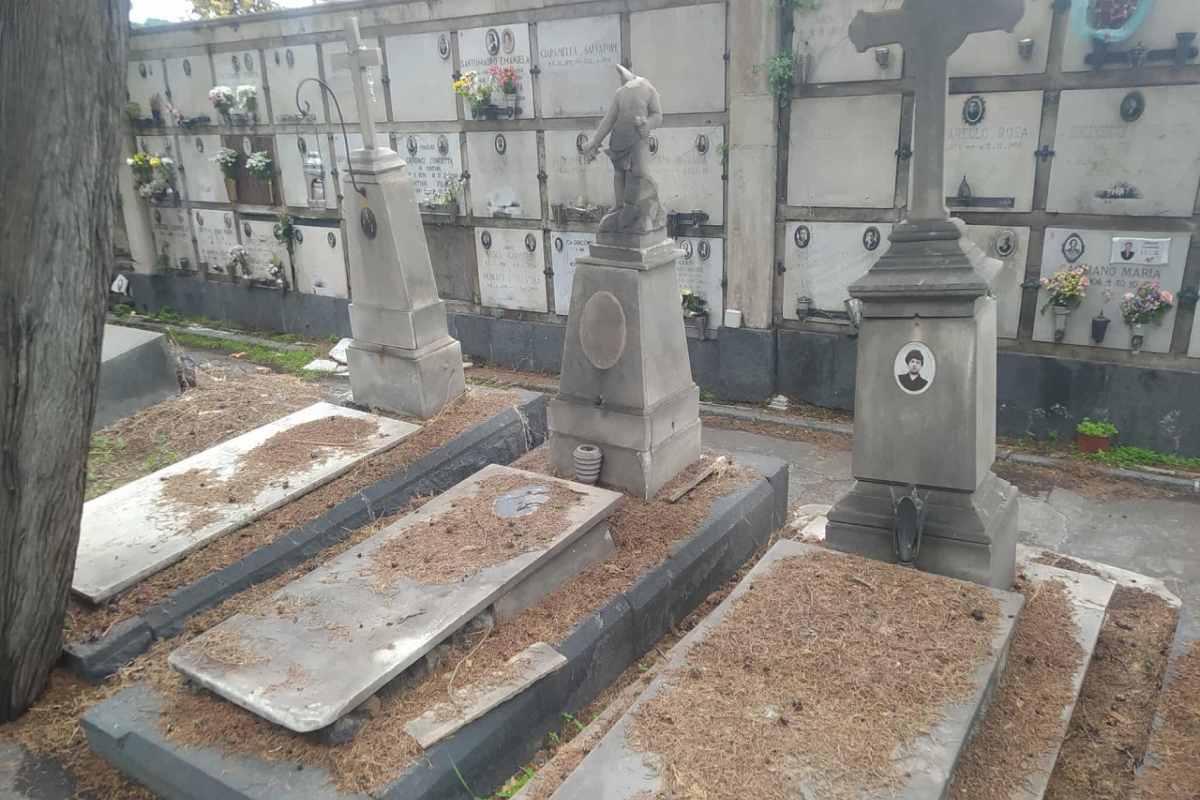 Catania, le condizioni del cimitero non ancora ottimali: si lavora per renderlo più efficiente – FOTO e VIDEO Catania, le condizioni del cimitero non ancora ottimali: si lavora per renderlo più efficiente – FOTO e VIDEO
