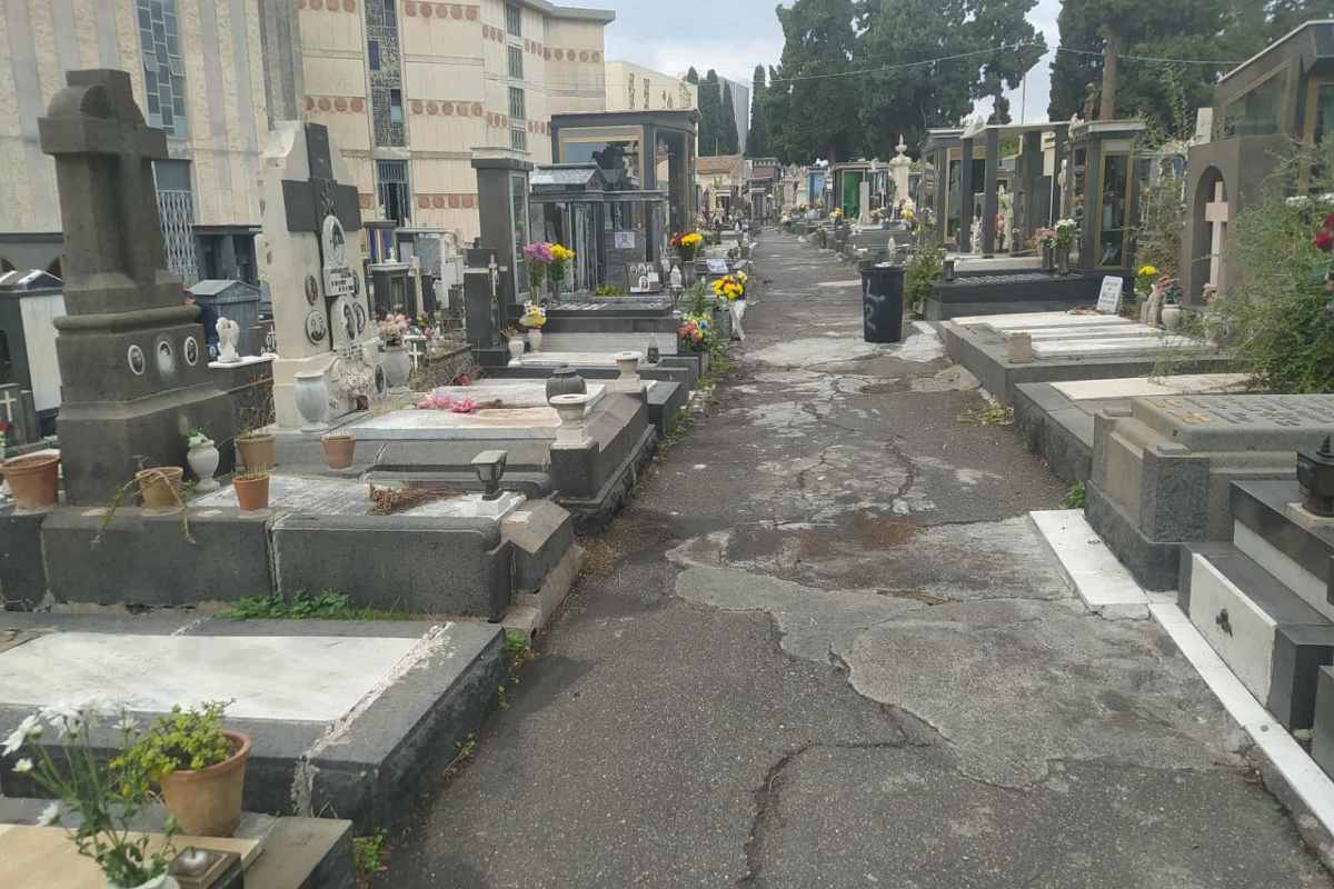 Catania, le condizioni del cimitero non ancora ottimali: si lavora per renderlo più efficiente – FOTO e VIDEO Catania, le condizioni del cimitero non ancora ottimali: si lavora per renderlo più efficiente – FOTO e VIDEO