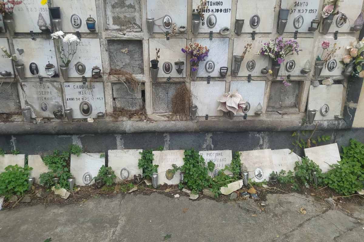 Catania, le condizioni del cimitero non ancora ottimali: si lavora per renderlo più efficiente – FOTO e VIDEO Catania, le condizioni del cimitero non ancora ottimali: si lavora per renderlo più efficiente – FOTO e VIDEO