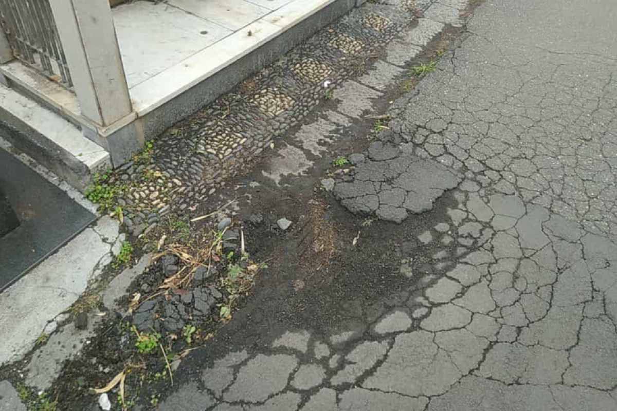 Catania, le condizioni del cimitero non ancora ottimali: si lavora per renderlo più efficiente – FOTO e VIDEO Catania, le condizioni del cimitero non ancora ottimali: si lavora per renderlo più efficiente – FOTO e VIDEO