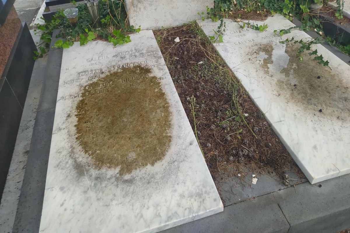 Catania, le condizioni del cimitero non ancora ottimali: si lavora per renderlo più efficiente – FOTO e VIDEO Catania, le condizioni del cimitero non ancora ottimali: si lavora per renderlo più efficiente – FOTO e VIDEO