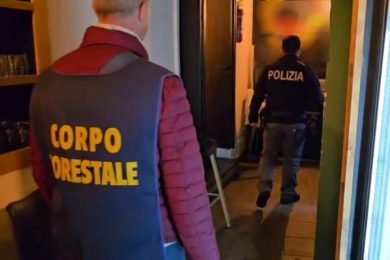 Adrano, scoperto un ristorante con lavoratori in nero e alimenti non tracciati: sanzioni salatissime – VIDEO