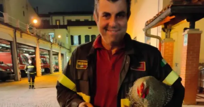 Infarto fulminante alla guida: la tragica morte di un ex pompiere della Costa Concordia Infarto fulminante alla guida: la tragica morte di un ex pompiere della Costa Concordia