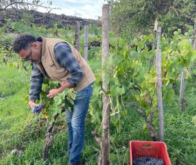 Dalla Borgogna all’Etna, il francese che ha scelto il vulcano per fare vino