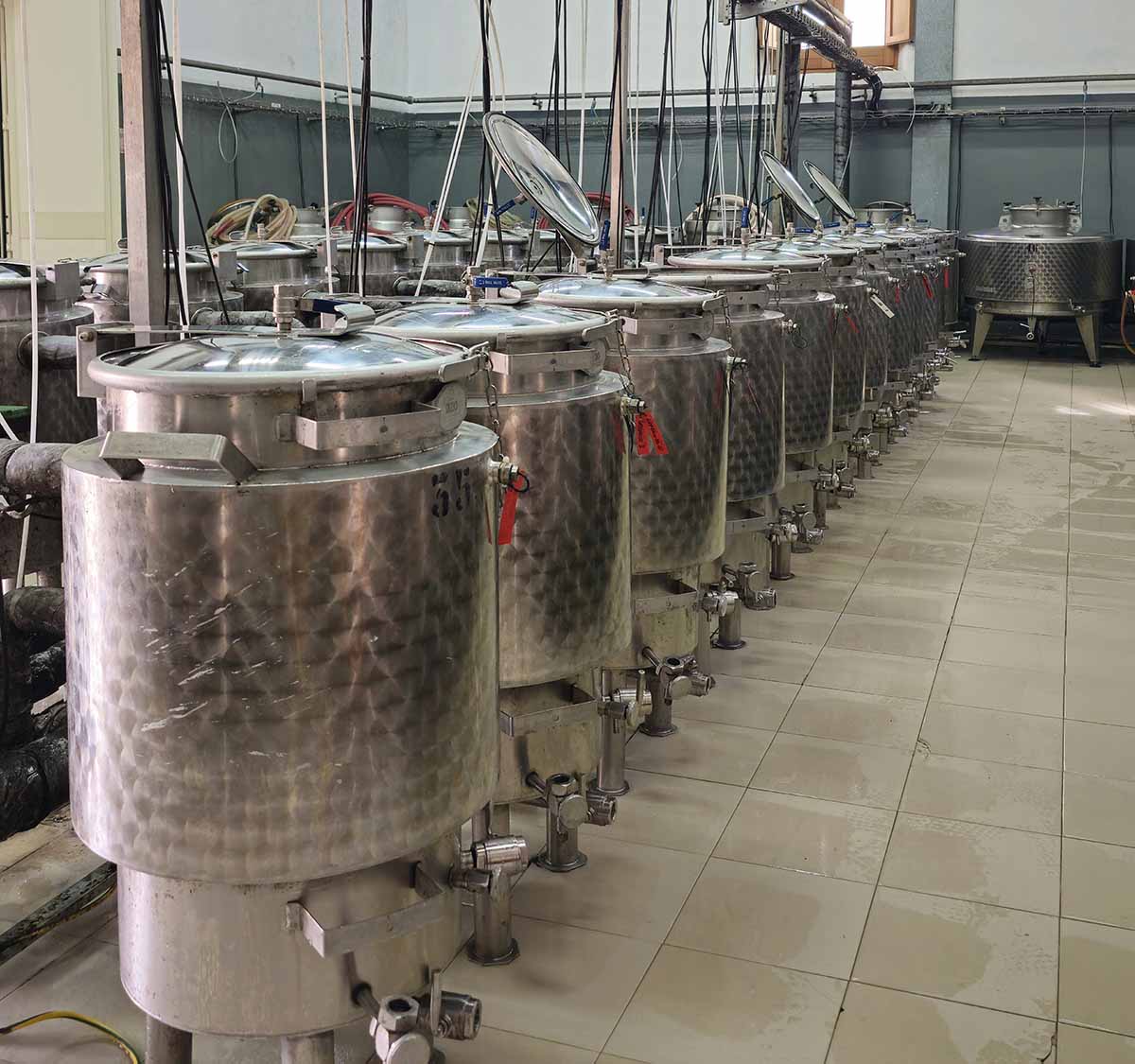 A Marsala la sperimentazione dell’IRVO per migliorare il vino siciliano  